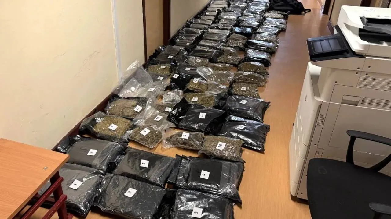 Narkotyki warte 10 mln zł przechwycone. Sprawcy zostali złapani na gorącym uczynku [WIDEO]