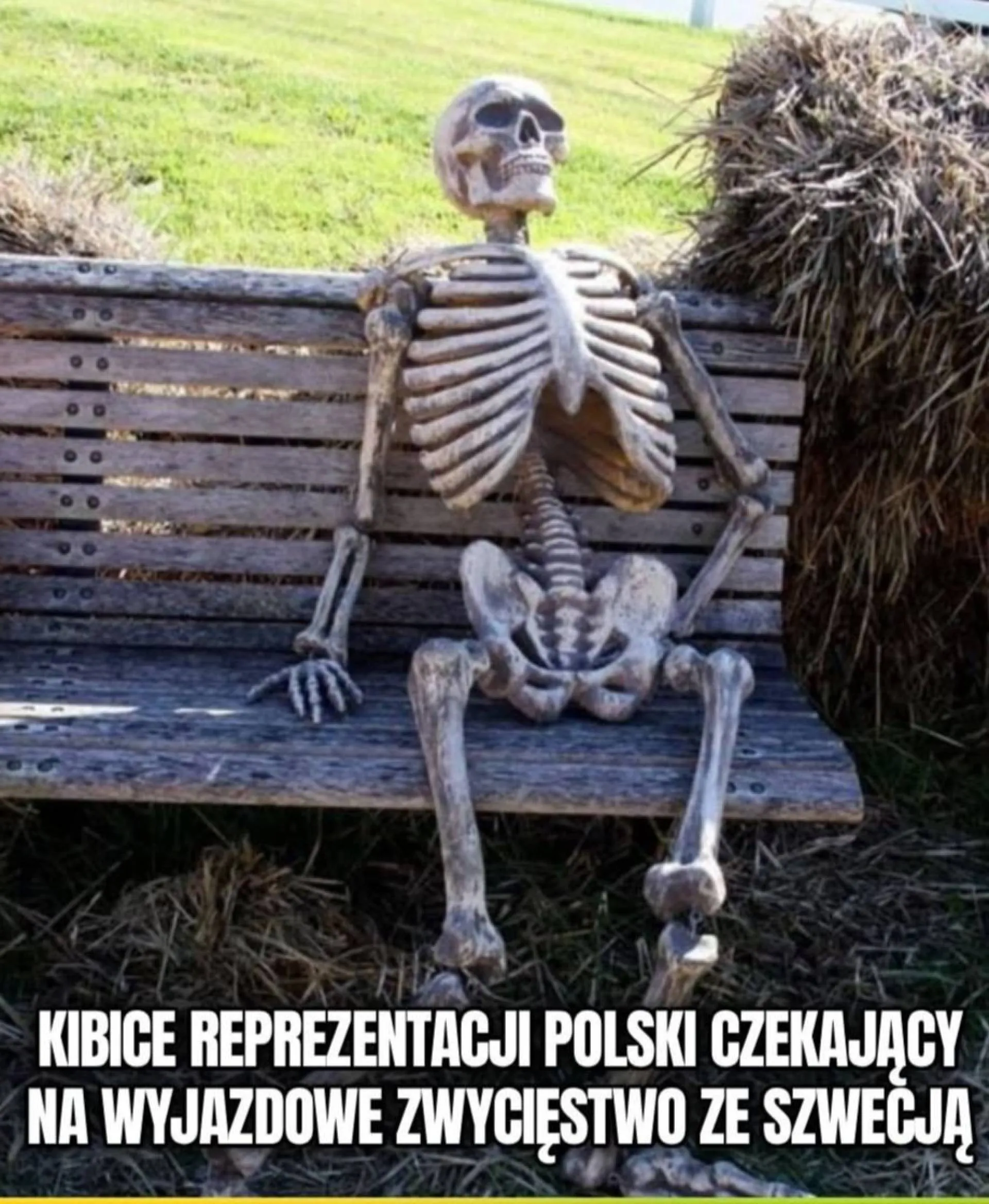 Niestety