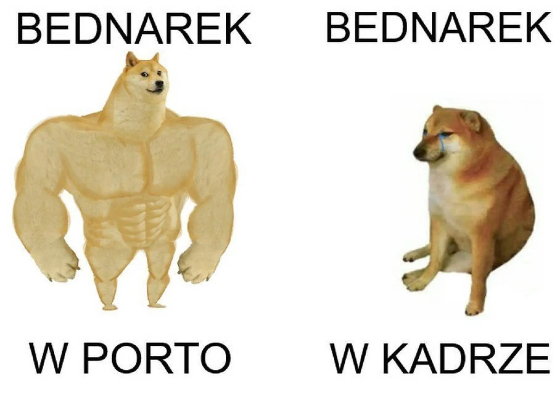 Bednarek