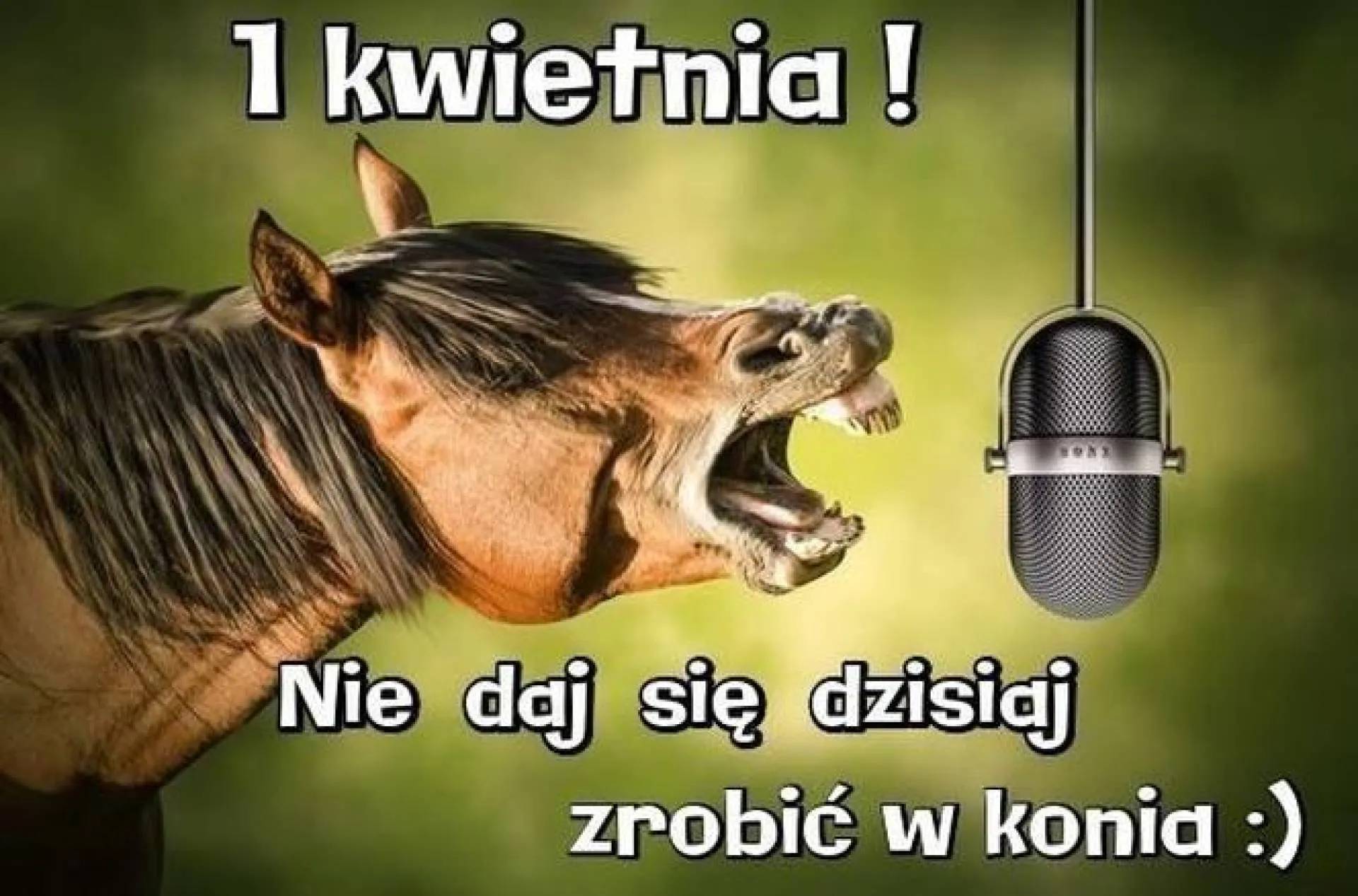 1.04