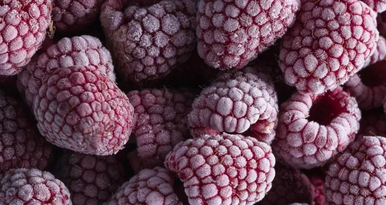 Salmonella w mrożonych malinach. GIS ostrzega