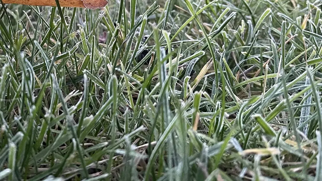 Silny wiatr, przymrozki i roztopy. IMGW ostrzega 10 województw