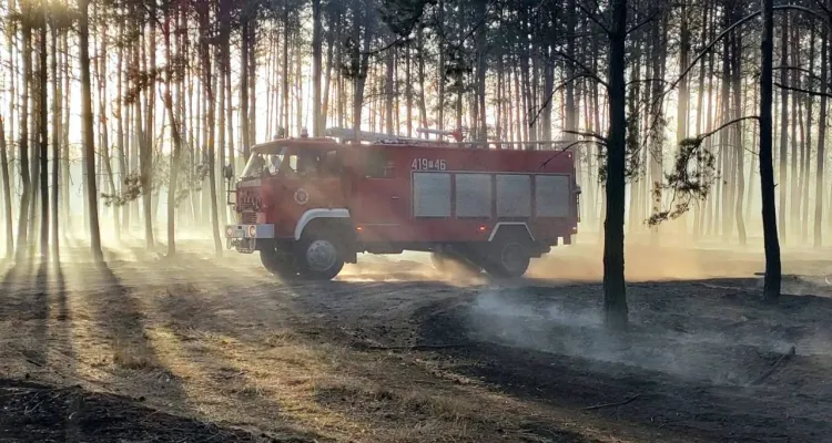 Wielki pożar w Wielkoposce. Spłonęły hektary