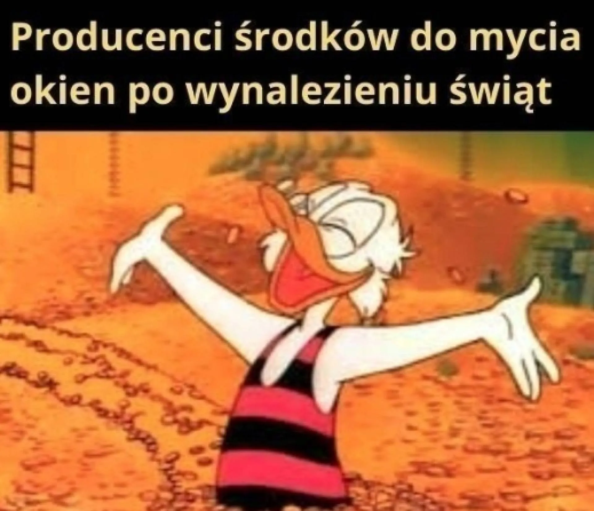 Bogactwo