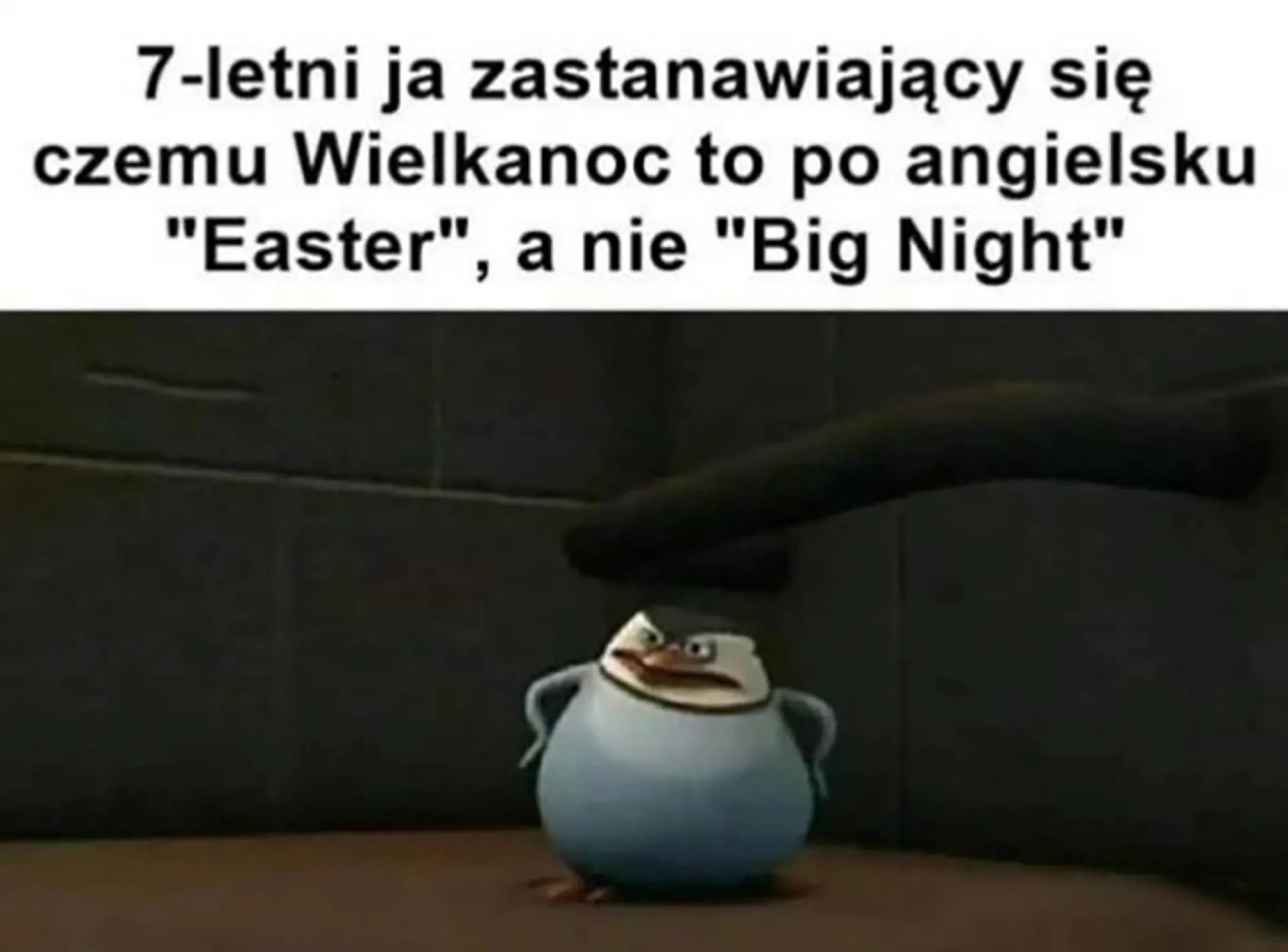 Zastanawiające