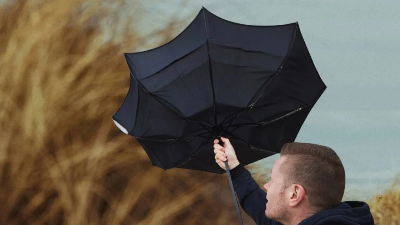 IMGW ostrzega przed silnym wiatrem. Gdzie będzie wiało najmocniej? [MAPA]