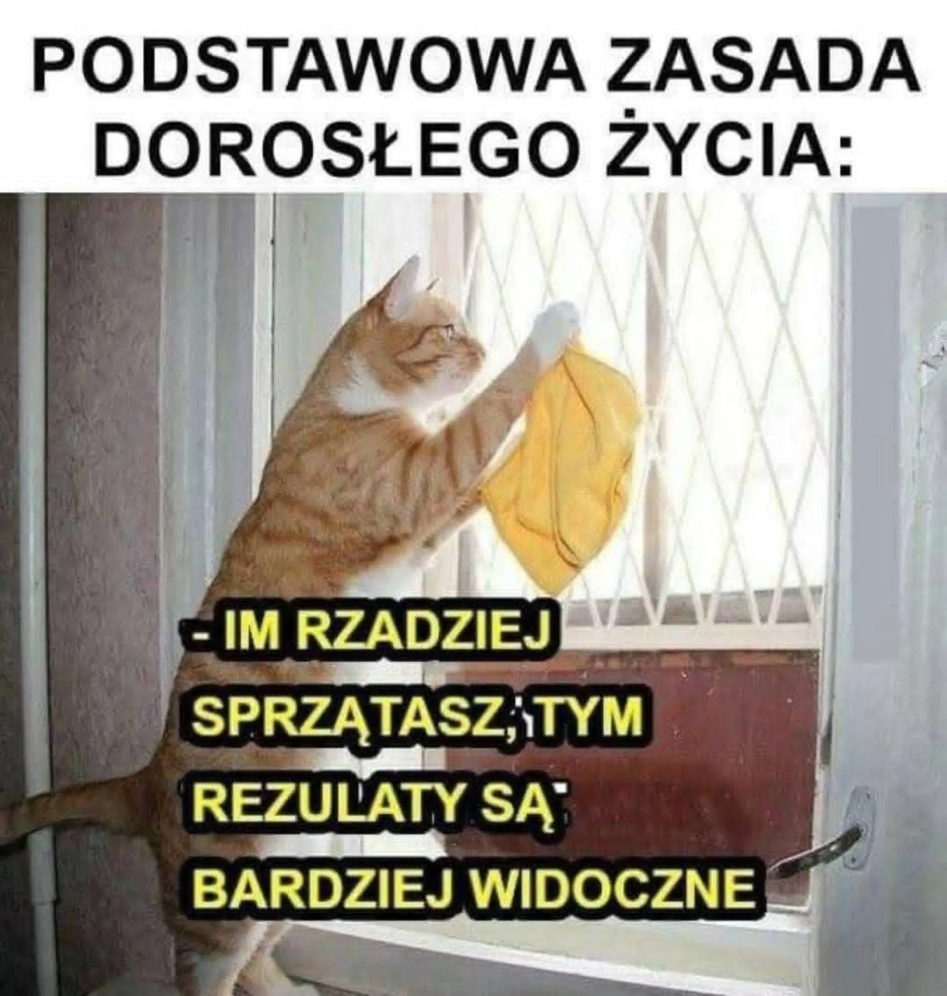 Prawidło