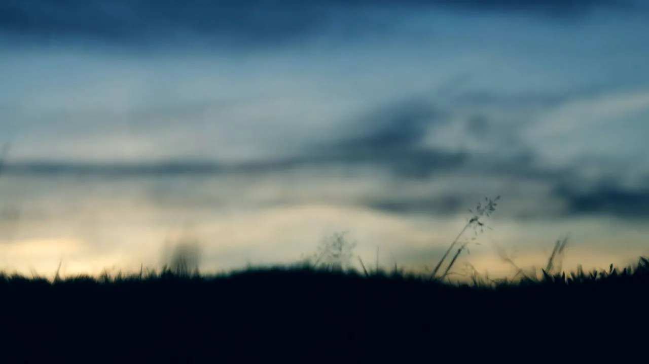 Uwaga na silny wiatr! A na południu ostrzeżenie przed przymrozkami