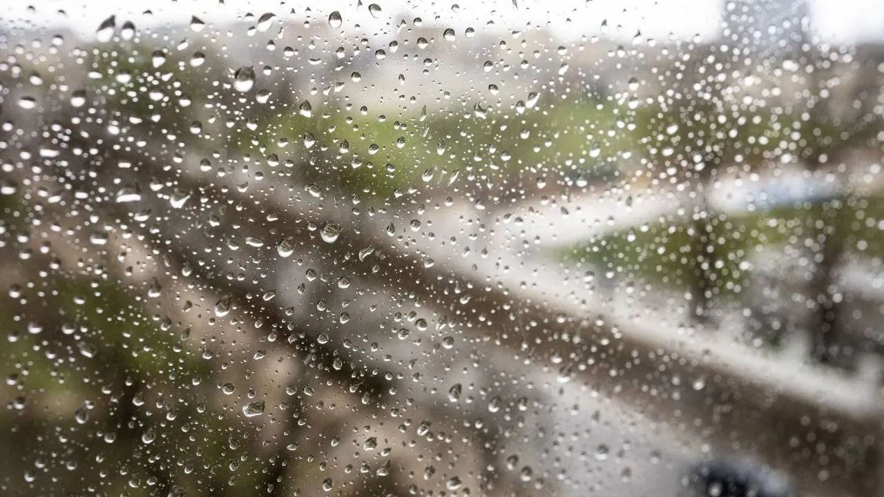 Pogoda na najbliższe dni: silny wiatr i opady