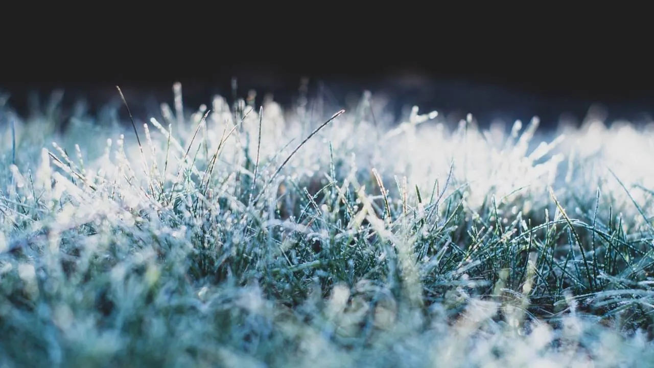 Temperatura runie poniżej zera. Po kilku dniach nagłe ocieplenie [PROGNOZA]