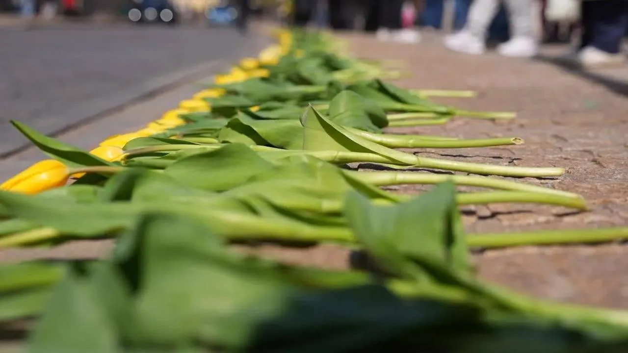 Tulipany dla Marii Kaczyńskiej