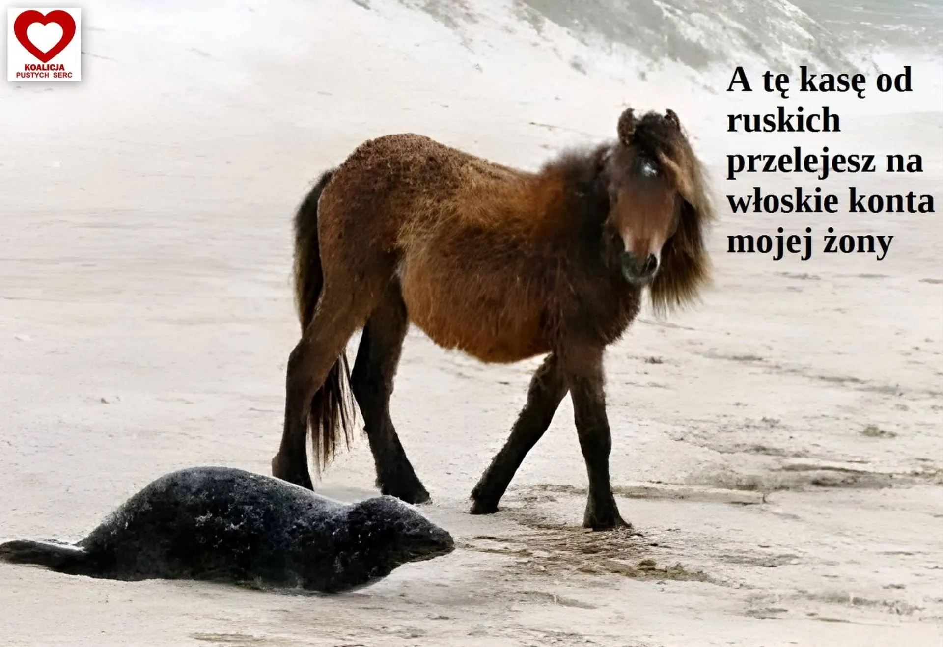 Podobieństwo przypadkowe