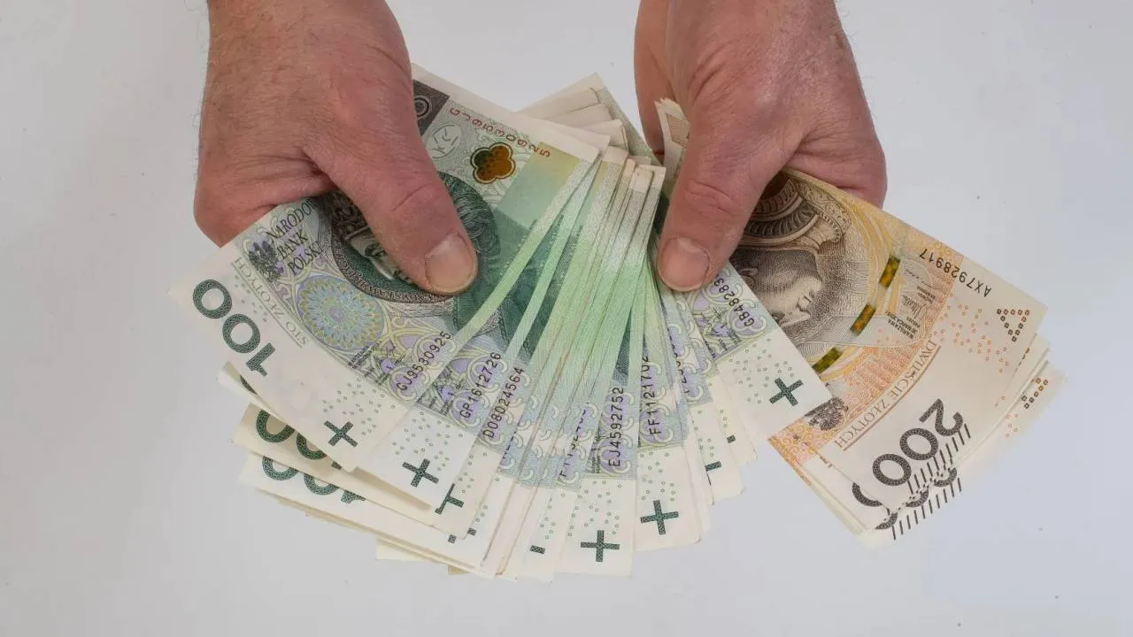 Rząd chce wiedzieć wszystko o zarobkach tej grupy zawodowej. To dopiero początek?