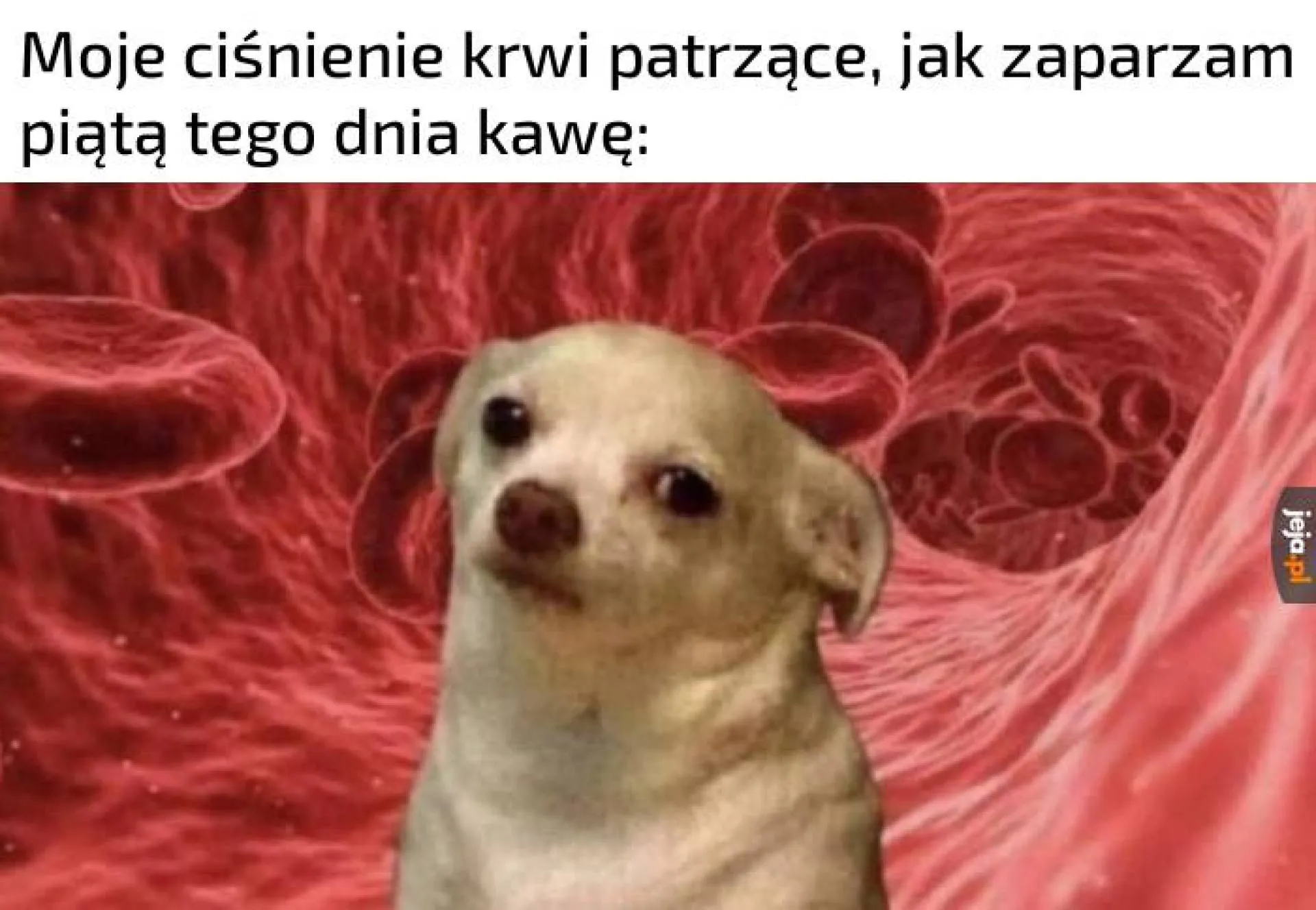 Piąta kawka