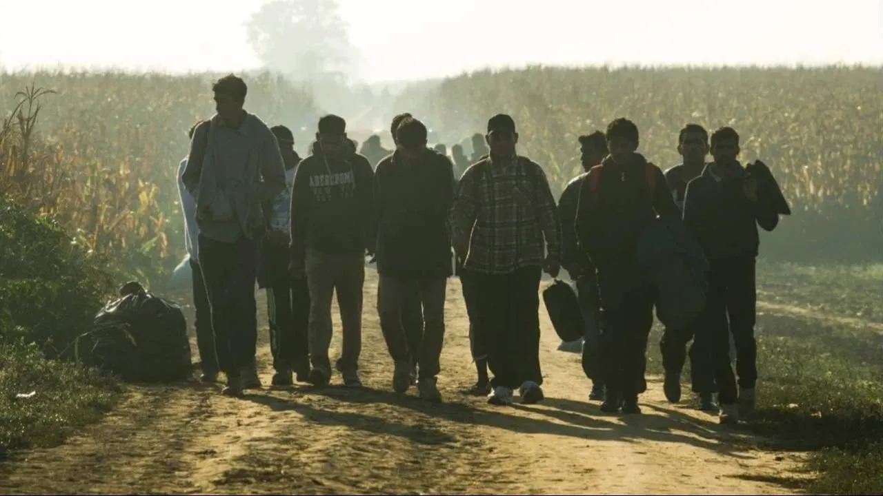 Niemcy wciąż podrzucają nam migrantów? Bąkiewicz pokazał nagranie z granicy [WIDEO]