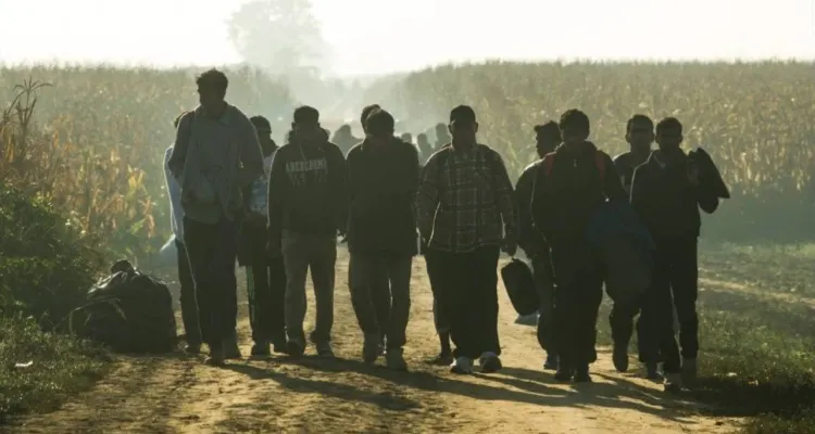 Niemcy wciąż podrzucają nam migrantów? Bąkiewicz pokazał nagranie z granicy [WIDEO]