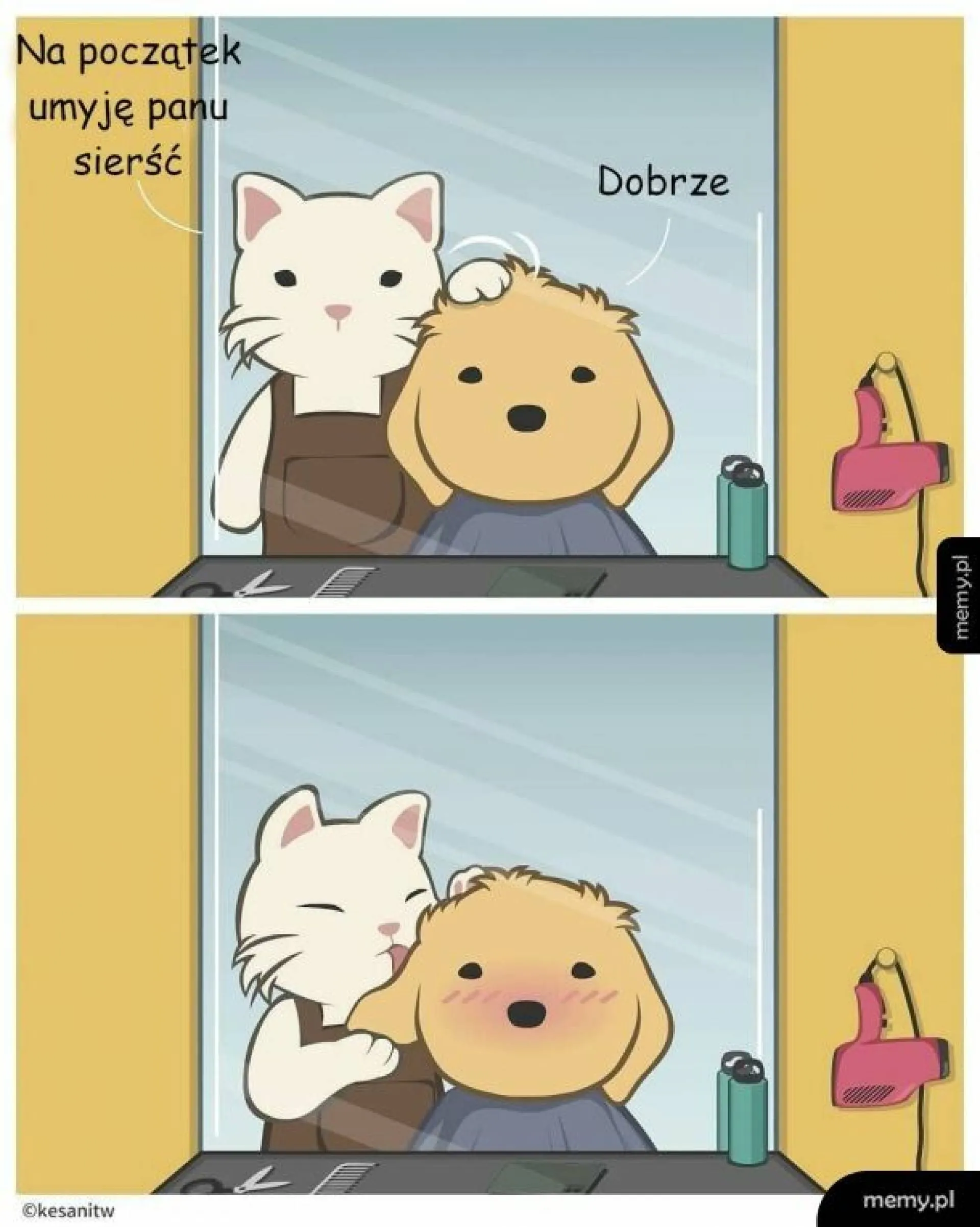 Mycie przed strzyżeniem