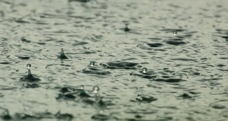 Deszczowy początek tygodnia. IMGW ostrzega [SZCZEGÓŁY]