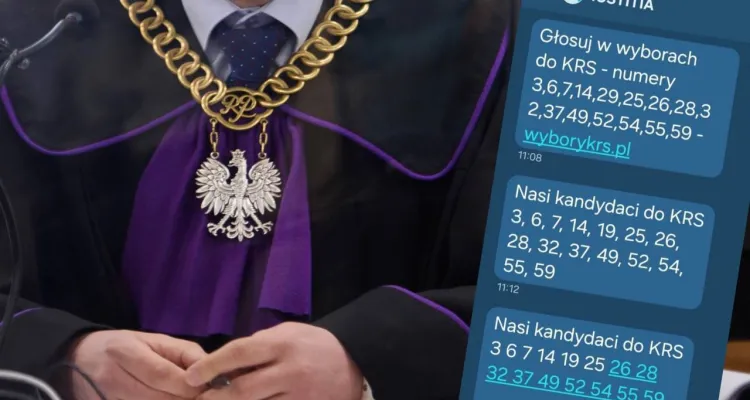 Farsa w sądach w całej Polsce. Iusititia rozsyła instrukcje dla swoich? Pokazano treść SMS-ów