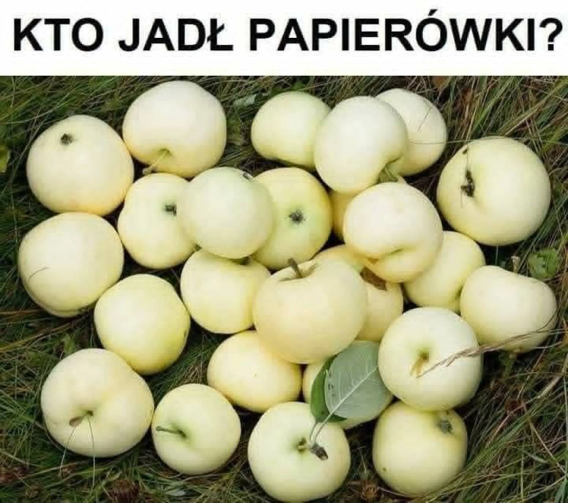 Jedliście?
