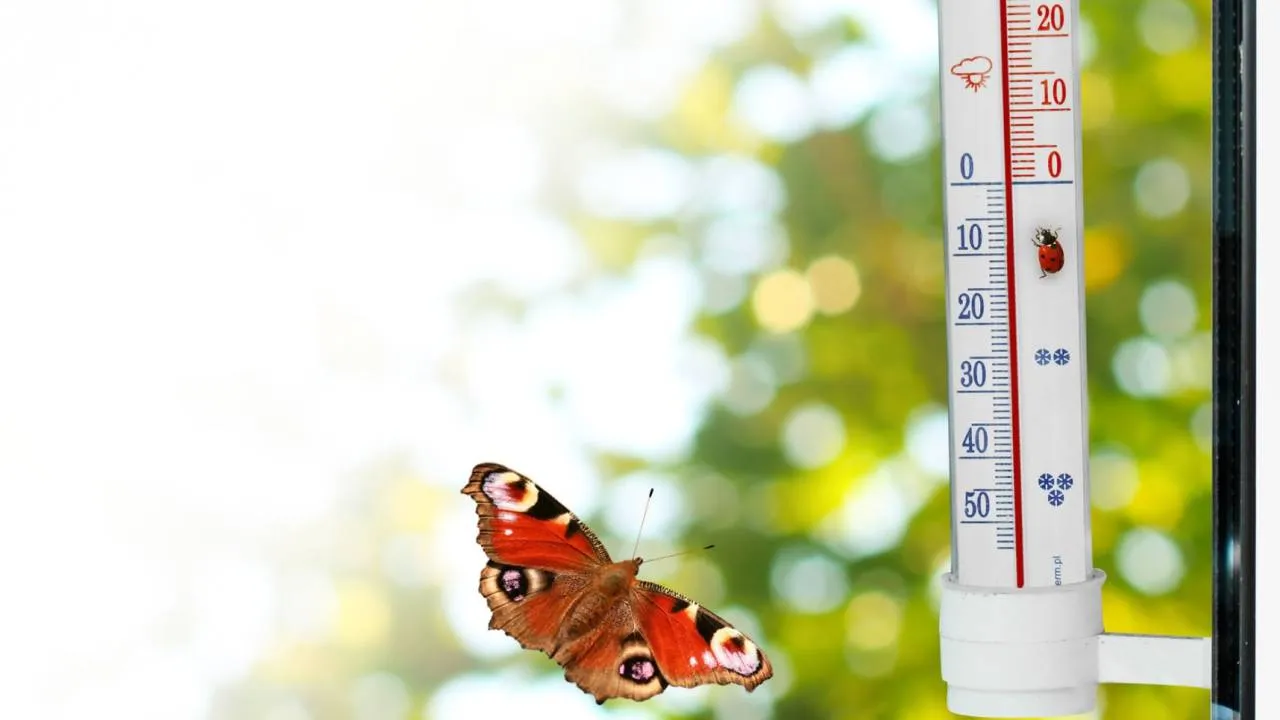 Kapryśna aura nad Polską. Sprawdź prognozę pogody