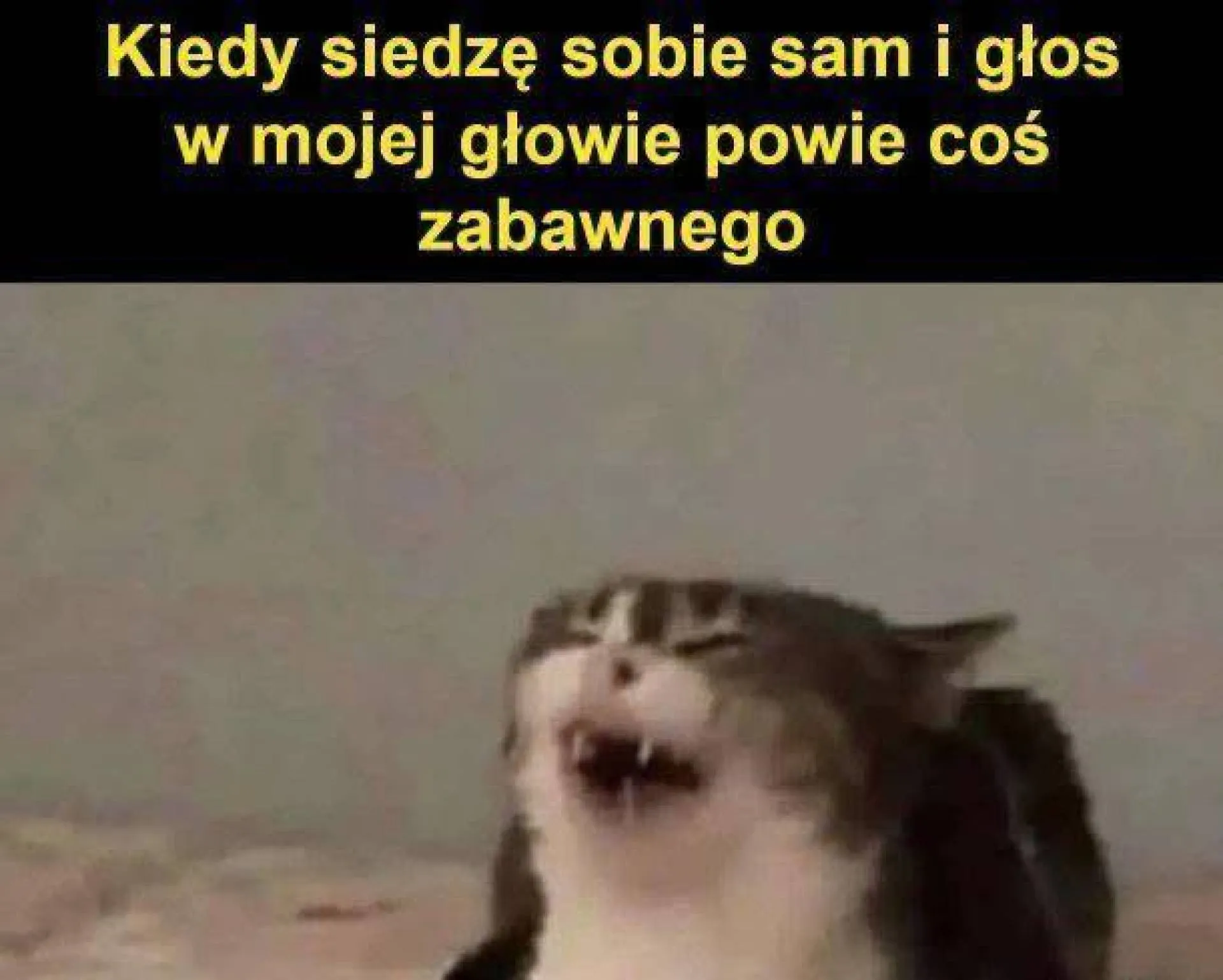 Sami siebie rozumiemy