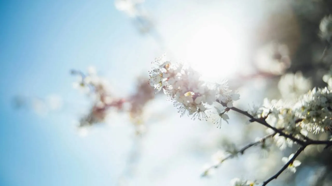 Do 21 stopni C, a potem uderzy chłód. Pogoda zmieni się w kilka godzin