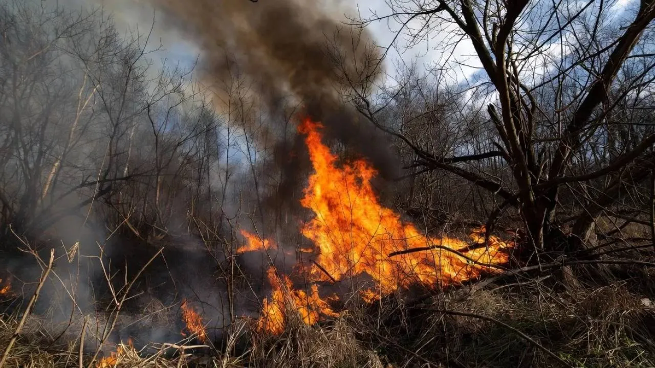 Tajemnicze pożary wokół kluczowych obiektów wojskowych pod Warszawą. Element rosyjskiej wojny hybrydowej?