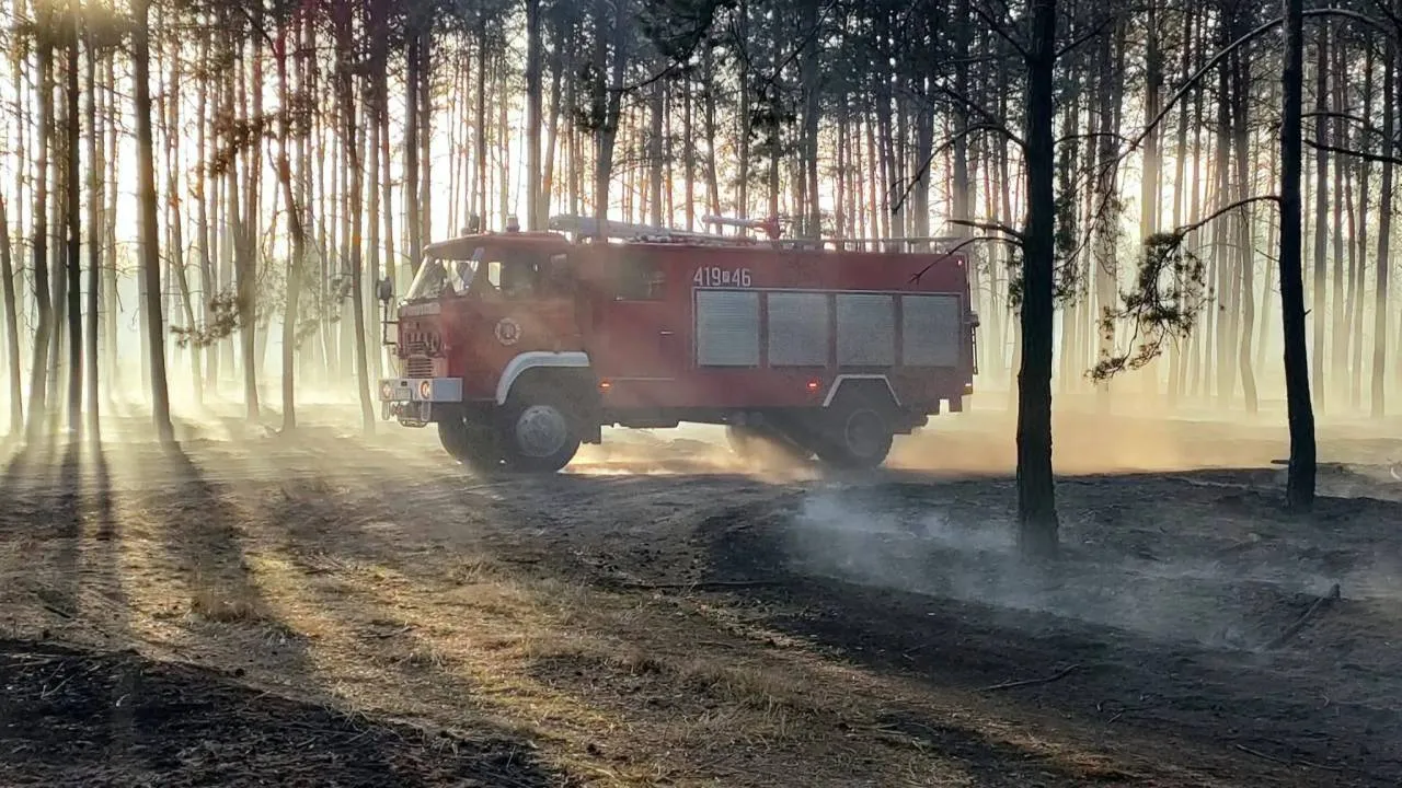 Alerty dla 13 województw. Strażacy mają ręce pełne roboty