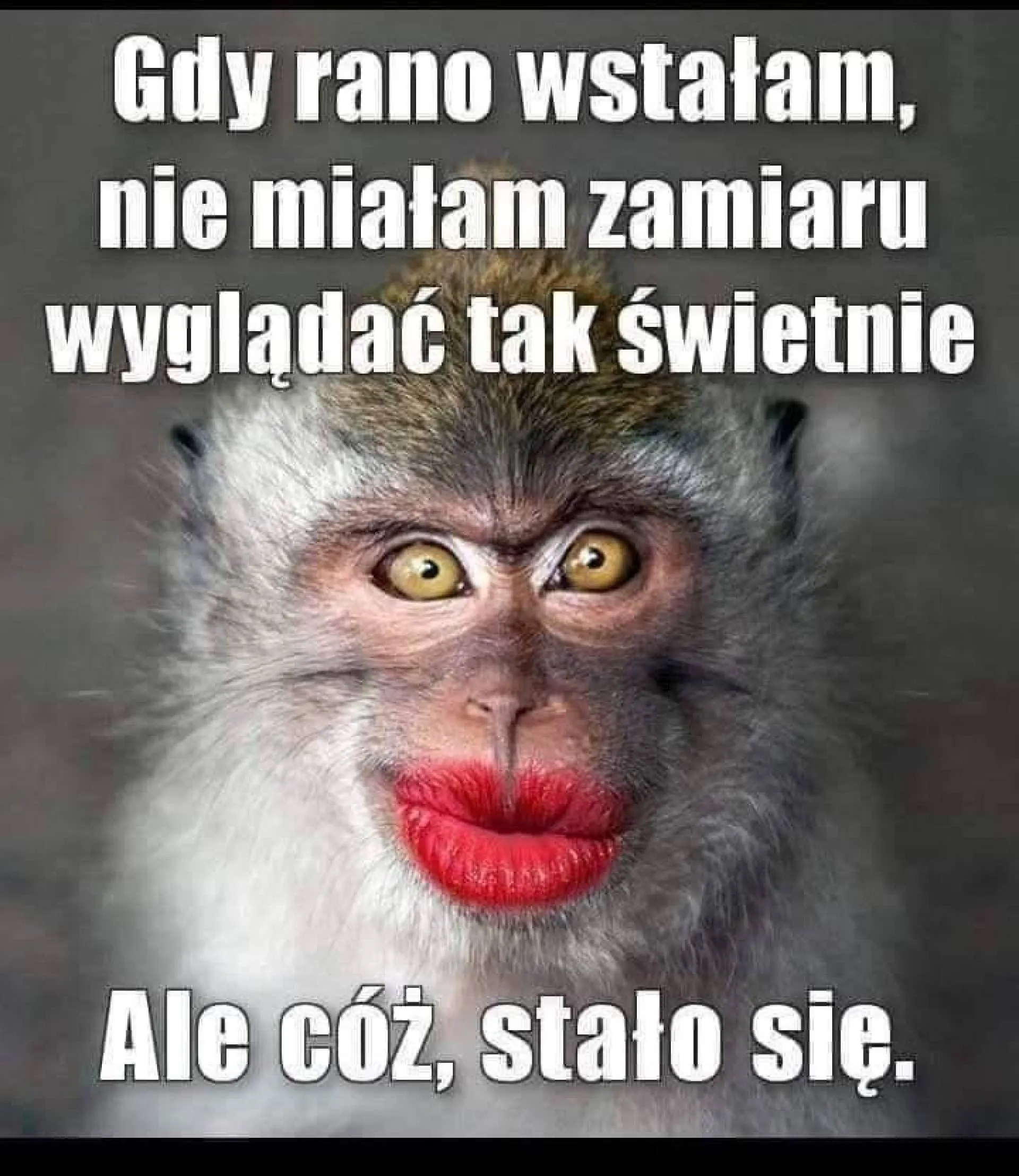 Tak wyszło