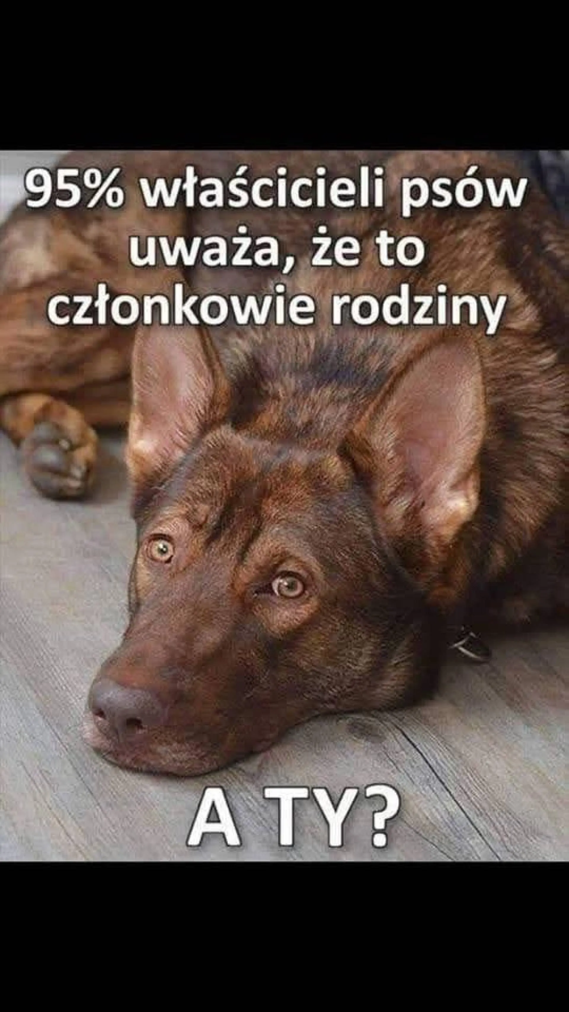 Też tak uważacie?