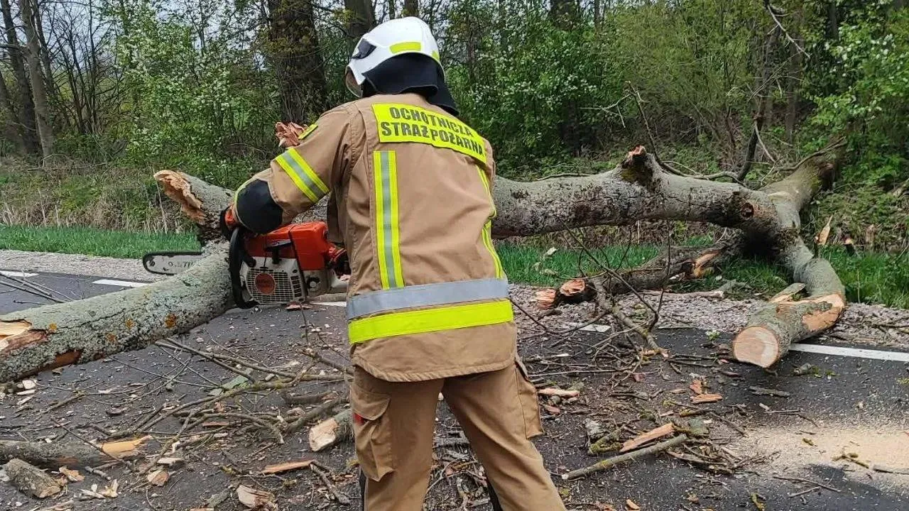 Drzewo powalone wichurą spadło na jadący samochód. Ranny kierowca trafił do szpitala