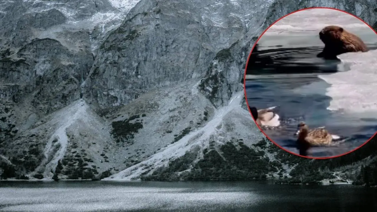 Odpoczywał przy krzyżówkami. Nagranie z Tatr robi furorę