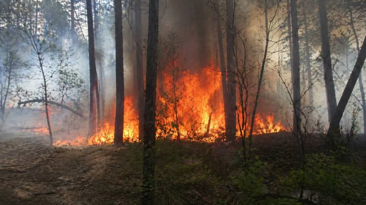 Dwa tajemnicze pożary na terenie 1. Warszawskiej Brygady Pancernej. Mamy informacje od Straży Pożarnej