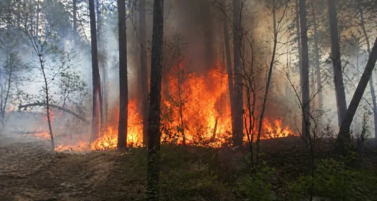 Dwa tajemnicze pożary na terenie 1. Warszawskiej Brygady Pancernej. Mamy informacje od Straży Pożarnej