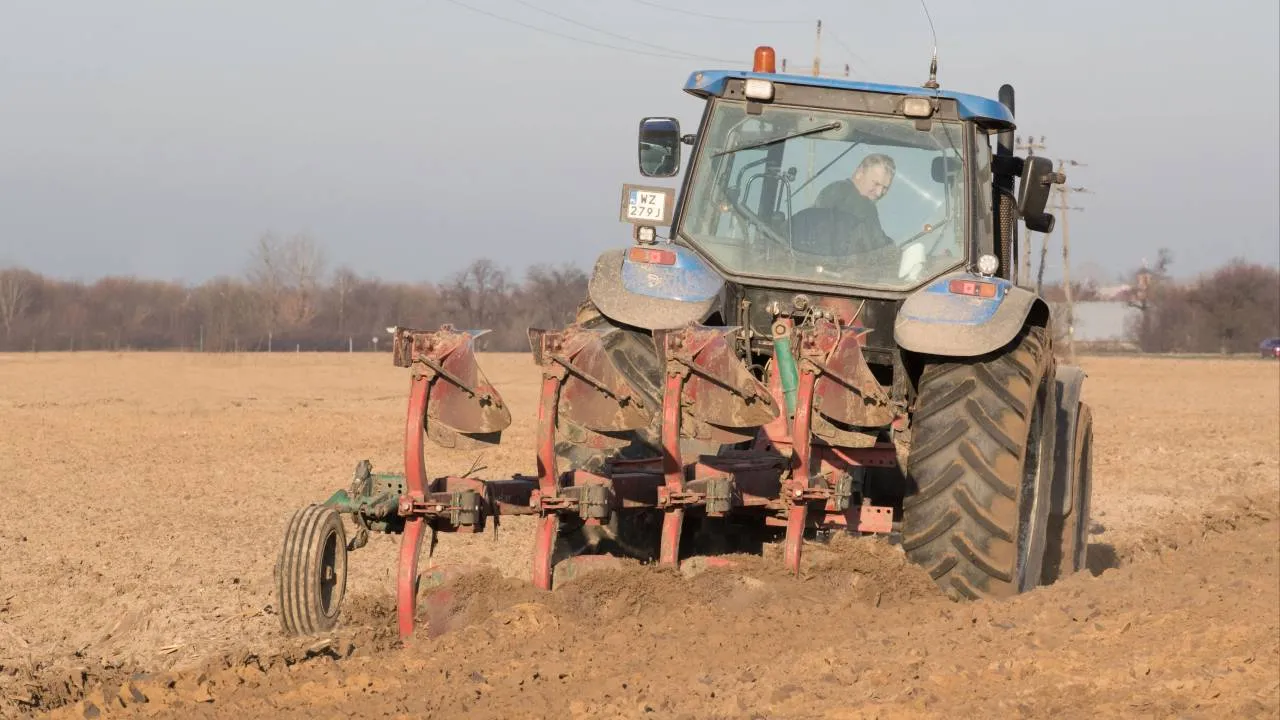 Klęska polskich rolników. Warzywa z zachodu Europy zalały nasz rynek
