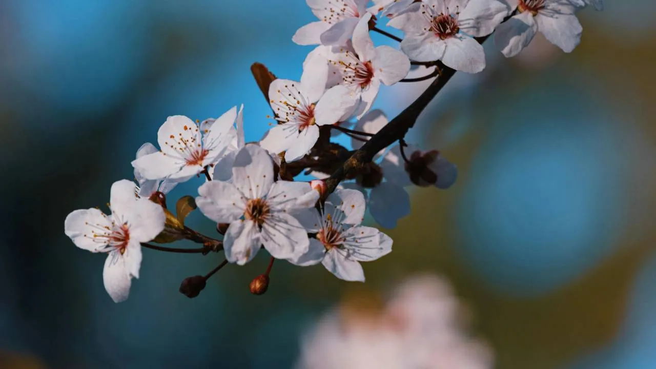 Taka będzie pogoda na majówkę. Temperatura miejscami sięgnie nawet 28 st. C