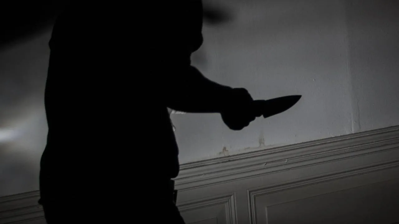 Atak nożem w szkole na Litwie. Trzy osoby ranne