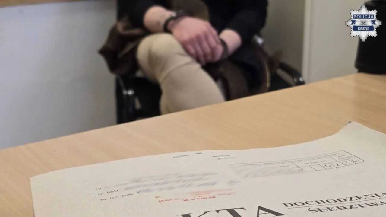 Kradli na potęgę. Para złodziei z Czech zatrzymana