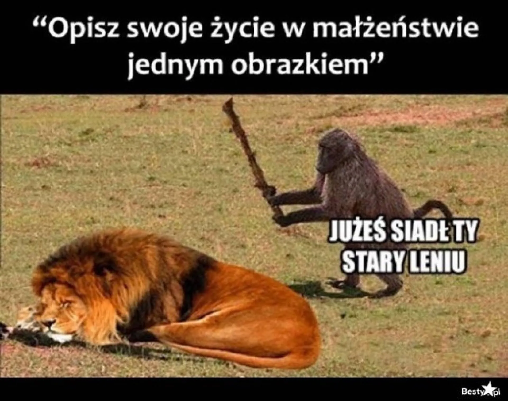I wszystko jasne