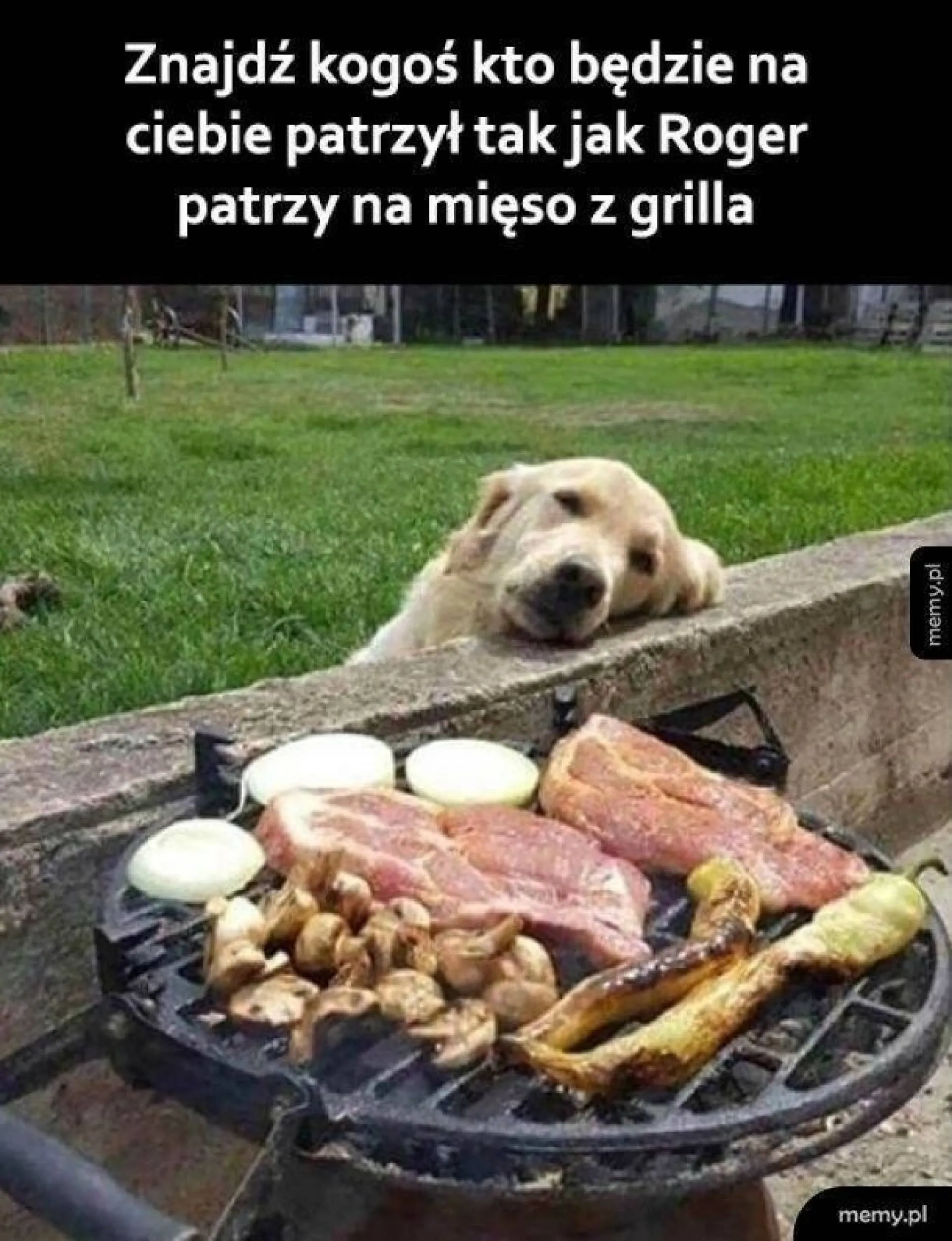 Znajdź
