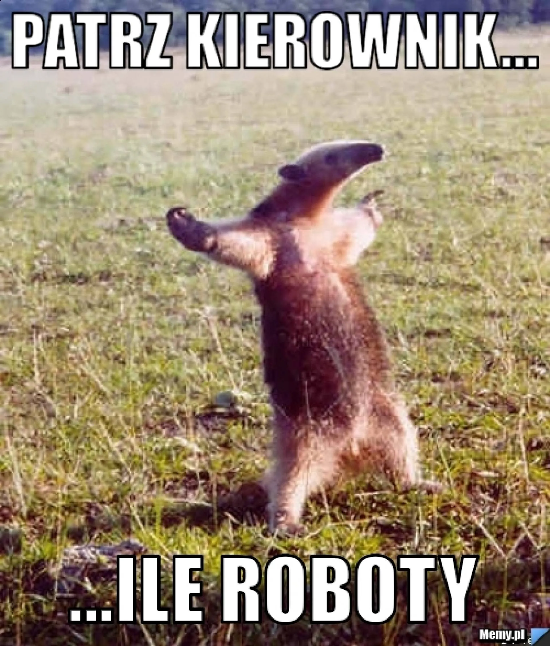 Tyle!