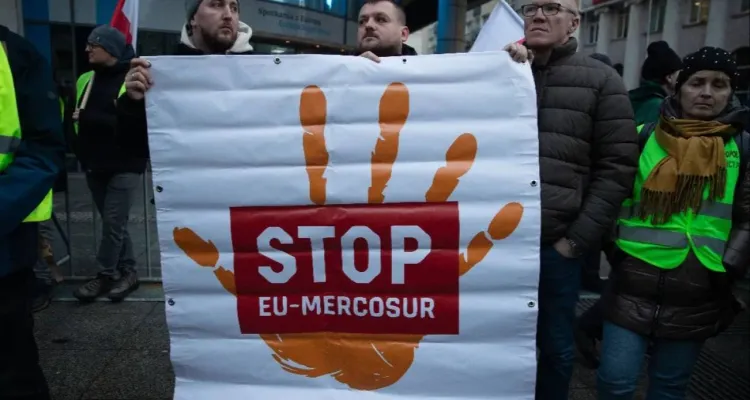 "Krowy za samochody". Mimo ogromnego sprzeciwu - dziś wchodzi w życie umowa UE-Mercosur