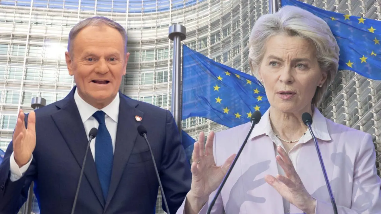 Rząd nie zablokował umowy z Mercosurem. "Polscy rolnicy znowu zostali sami" [WIDEO]
