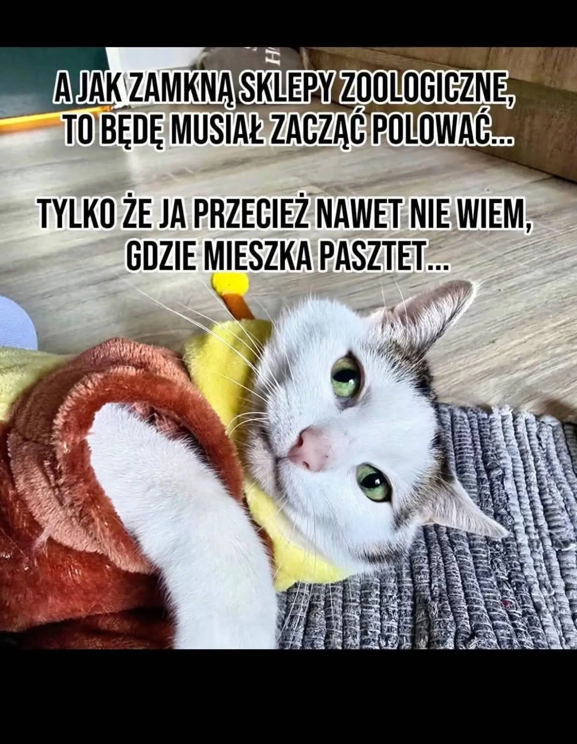 I co on pocznie