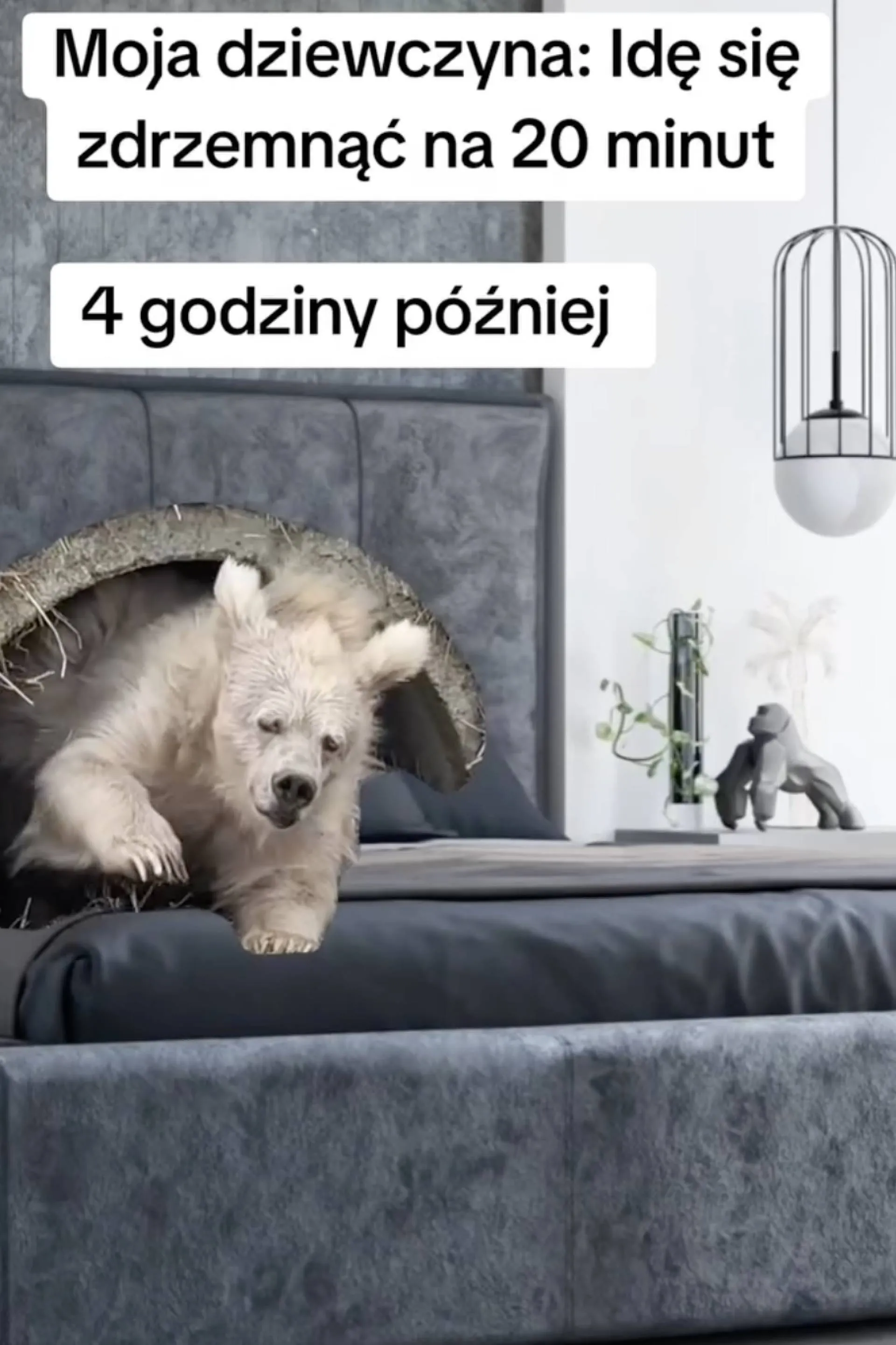 Wstała