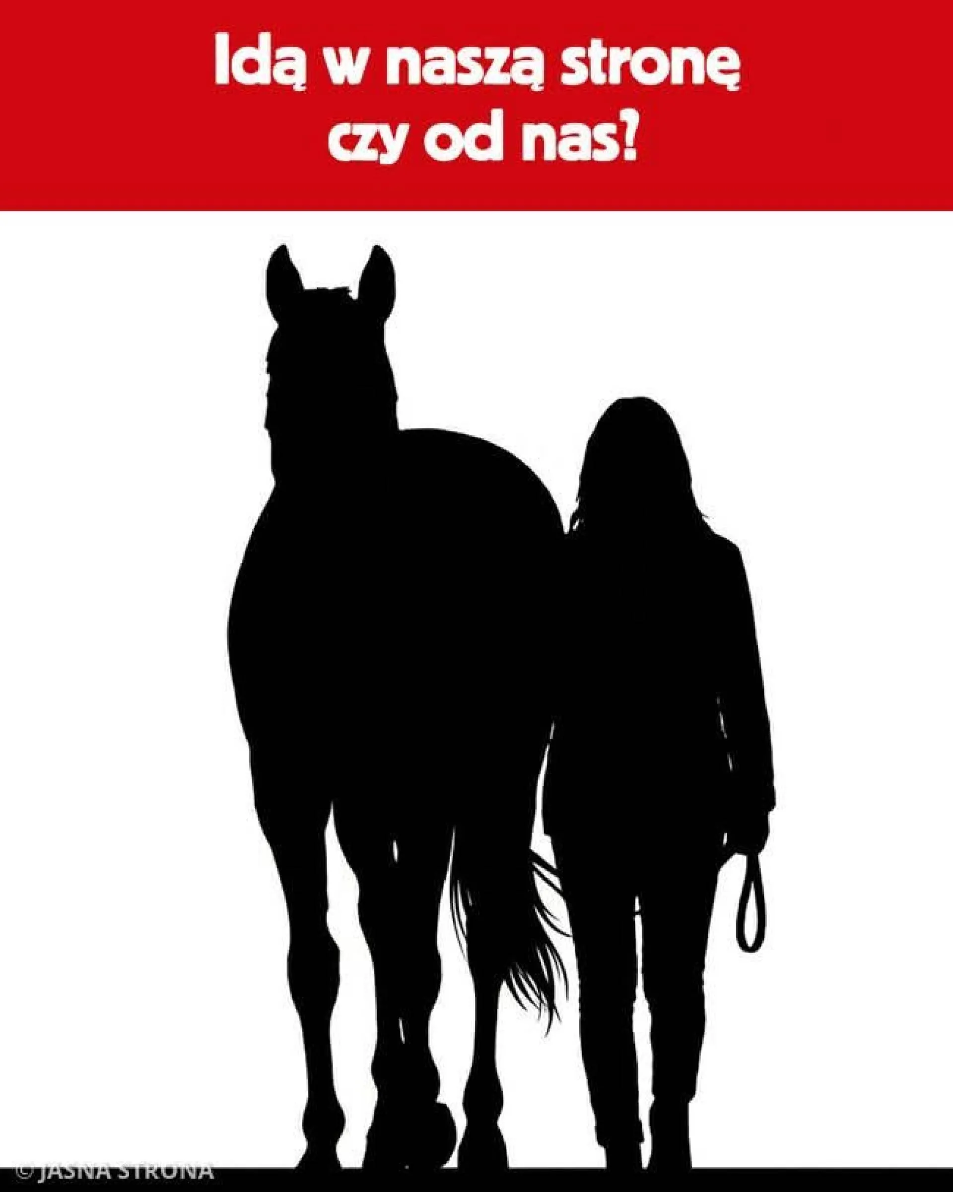 Przodem czy tyłem?