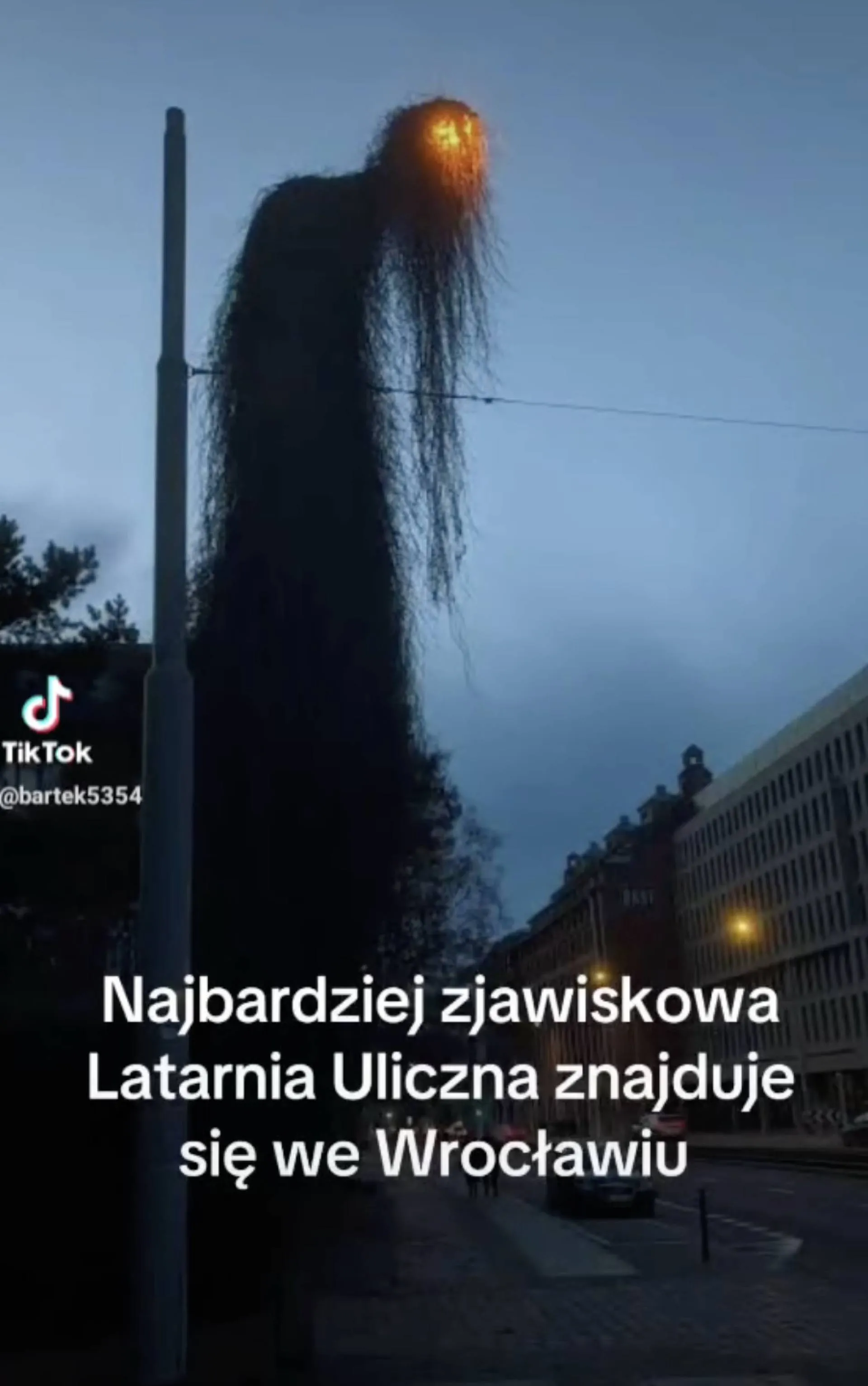 Widzieliście na żywo?