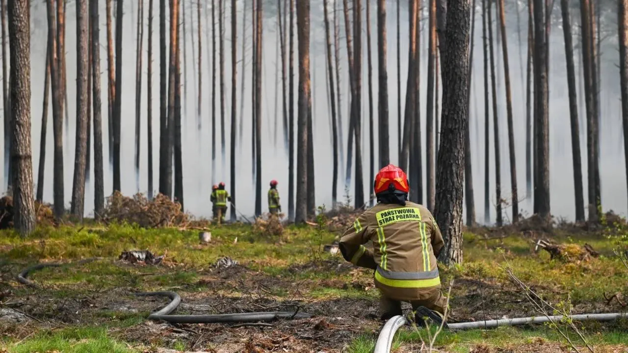 Pożar na Roztoczu opanowany. 300 strażaków dogasza pogorzeliska w Puszczy Solskiej