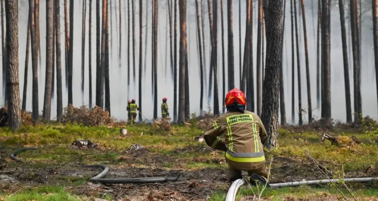 Pożar na Roztoczu opanowany. 300 strażaków dogasza pogorzeliska w Puszczy Solskiej